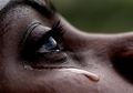 Balada Si Air Mata: Air Mata Emosional Mengeluarkan Protein
