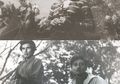Hari Film Nasional: Restorasi Film Indonesia, Siapa yang Melakukan?
