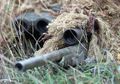 Sniper Berawal dari Tradisi Menembak Burung Snipe di Inggris