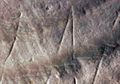 Wow, Gambar Kuno Tertua di Dunia Berasal dari Ngawi