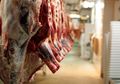 Cara Jitu Menghilangkan Bau Prengus Daging Kambing