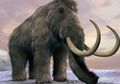 Bukan Perburuan, Gajah Purba Terakhir di Bumi Musnah karena Kehausan