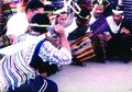 Keliling Flores Bersua Gading Beranak