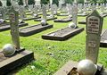 Hari Pahlawan: Kisah Pahlawan Tanpa Makam di Indonesia