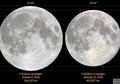 Jangan 'Tertipu' Supermoon, Sebab Hanya Lebih Besar 14 Persen