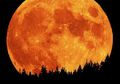 5 Tempat Terbaik Untuk Melihat Fenomena Supermoon Terbesar Sejak 70 Tahun Lalu