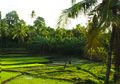 Tanah Tak Selalu Gersang, Wisata ke Kupang Memesona