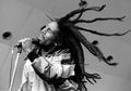 Inilah Kesaksian Percobaan Pembunuhanm Bob Marley