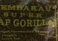 Tembakau Gorila: Beragam Manfaat Zat-zat Synthetic Cannabinoid di Dunia Medis