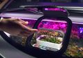 Dari Ada Tanaman Bonsai Sampai Mikrolet, Berikut 7 Mobil Dengan Konsep ‘Gila’ Di Masa Depan