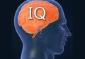 11 Cara Sederhana Ini Dianggap Ampuh Meningkatkan IQ Kita, Nomor 10 Bikin Bertanya-tanya
