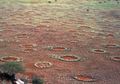 Misteri Lingkaran-lingkaran Aneh di Gurun Namibia Akhirnya Terungkap