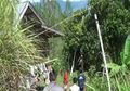 Kisah Nenek Bodo' yang Hidup di Hutan dengan Dua Anak Terpasung