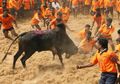 Jallikattu, Amuk Banteng yang Memicu Amuk Massa
