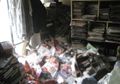 Malang Benar Nasibnya, Laki-laki Jepang Ini Tewas Tertimbun 6 Ton Majalah Porno Koleksinya