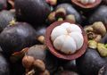 Buah Manggis, si Ratu Buah Pencegah Kanker
