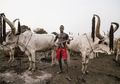 Kelewat Sangar! Suku Mundari di Sudan Selatan Menjaga Sapinya dari Maling dengan AK-47, Bukan dengan Cambuk Tradisional