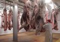 Kota Terbesar di Belgia Ini Larang Penyembelihan Hewan Secara Halal, Muslim Setempat Khawatir