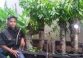 Naufal Raziq Bocah 15 Tahun Asal Aceh Penemu Listrik dari Pohon Kedondong: Semua Bermula dari Tugas Sekolah