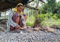 Mbah Siani si Pemecah Batu van Jember: Tak Masalah Honornya Kecil yang Penting Halal
