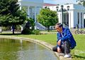 Aduh, Ribuan Kodok Koleksi Jokowi Mati Gara Gara Mahluk Ini