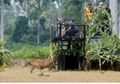 Inilah Tujuan Prajurit TNI Digembleng dengan Pemahaman soal Flora dan Fauna