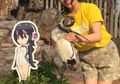 Patah Hati, Penguin Ini Tambatkan Hatinya pada Karakter Animasi. Lucu atau Justru Kasihan?