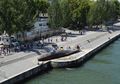 Kok Bisa Paus Sepanjang 17 Meter Terdampar di Pusat Kota Paris? Warga dan Turis pun Syok Dibuatnya