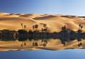 Misteri Kutukan Oasis Garra yang Mengerikan, Tentara Australia pada Perang Dunia I Pernah Merasakannya