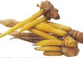 Temu Kunci Tidak Hanya Sebagai Penyedap Sayur Bening, Ia Juga Membereskan Keluhan Ibu tentang Kenapa ASI-nya Mampet