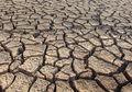Gawat, 83 Tahun Lagi Wilayah Asia Selatan Tidak Bisa Dihuni Manusia Karena Hal Ini