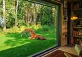 Mau Tahu Rasanya Tidur Bersama Harimau? Silakan Coba Menginap di Hotel Kebun Binatang Ini