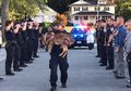 Mengharukan! Warga dan Polisi di Kota Ini Memberikan Penghormatan Terakhir kepada Anjing Polisi yang Harus Ditidurkan Selamanya