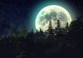 Misteri Bulan Purnama di Bali: Bencana Alam, Mistik, dan Kecurangan