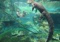 Kandang Kematian, Wahana yang Bikin Ciut Nyali karena Kita akan Berenang Bersama Seekor Buaya Raksasa