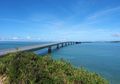 Melamar Kekasih di Atas Jembatan, Meski Diberi Jawaban ‘Ya’ Nasib Pria Ini Justru Berakhir Nahas