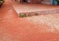 Wow, Jalanan dan Tanah di Pulau Ini Mendadak Seperti Karpet Merah, Ternyata Ini Sebabnya