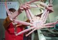 AS Kembali Kritik China Terkait Korut, Tapi Bukan Soal Senjata Nuklir, Melainkan Soal Kepiting