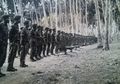 Pernah Berperang Melawan Pasukan Khusus Inggris, Kostrad Mudah Saja Menumpas Gerakan 30 September (G30S)