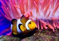 Tahukah Anda, Ikan Juga Bisa Kecapekan Berenang Lho