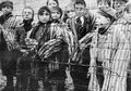 KB ala Jerman Nazi: Bonus Bagi Keluarga yang Beranak Banyak hingga Menculik Anak untuk Di-Jerman-kan
