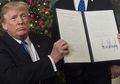 Untuk Menghormati Pengakuan Presiden Amerika Terhadap Yerusalem, Taman Edukasi di Israel Ini Diberi Nama Donald Trump Park!