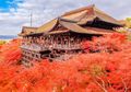 9 Foto Ini Tunjukkan Bahwa Kyoto Layak Jadi Salah Satu Kota Terbaik di Dunia Tahun 2017