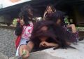 Gara-gara Selfie, Pelajar di Purworejo Ini Tersambar Kereta hingga Tengkorak Kepalanya Menganga