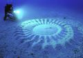 Akhirnya, Pembuat Pola Geometris Misterius yang Ditemukan di Dasar Laut di Jepang Pada Tahun 1995 Terungkap