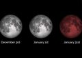 Soal Fenomena Trilogi Supermoon, BMKG Memperingatkan Kita untuk Tetap Waspada dengan Dampaknya