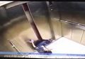 (Video) Peringatan Untuk Kita Semua! Asyik Dengan Ponselnya, Kaki Wanita Ini Patah Karena Terjepit Pintu Lift yang Naik