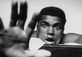 Ini Dia, Enam Rahasia di Balik Kesuksessan Karier Muhammad Ali