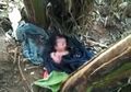 (Video) Sungguh Tega, Kok Ada Orangtua yang Membuang Bayinya di Bawah Pohon Pisang