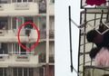 Heroik! Pria ini Selamatkan Nyawa Balita yang Hampir Mati karena Bergelantungan di Balkon Lantai 4